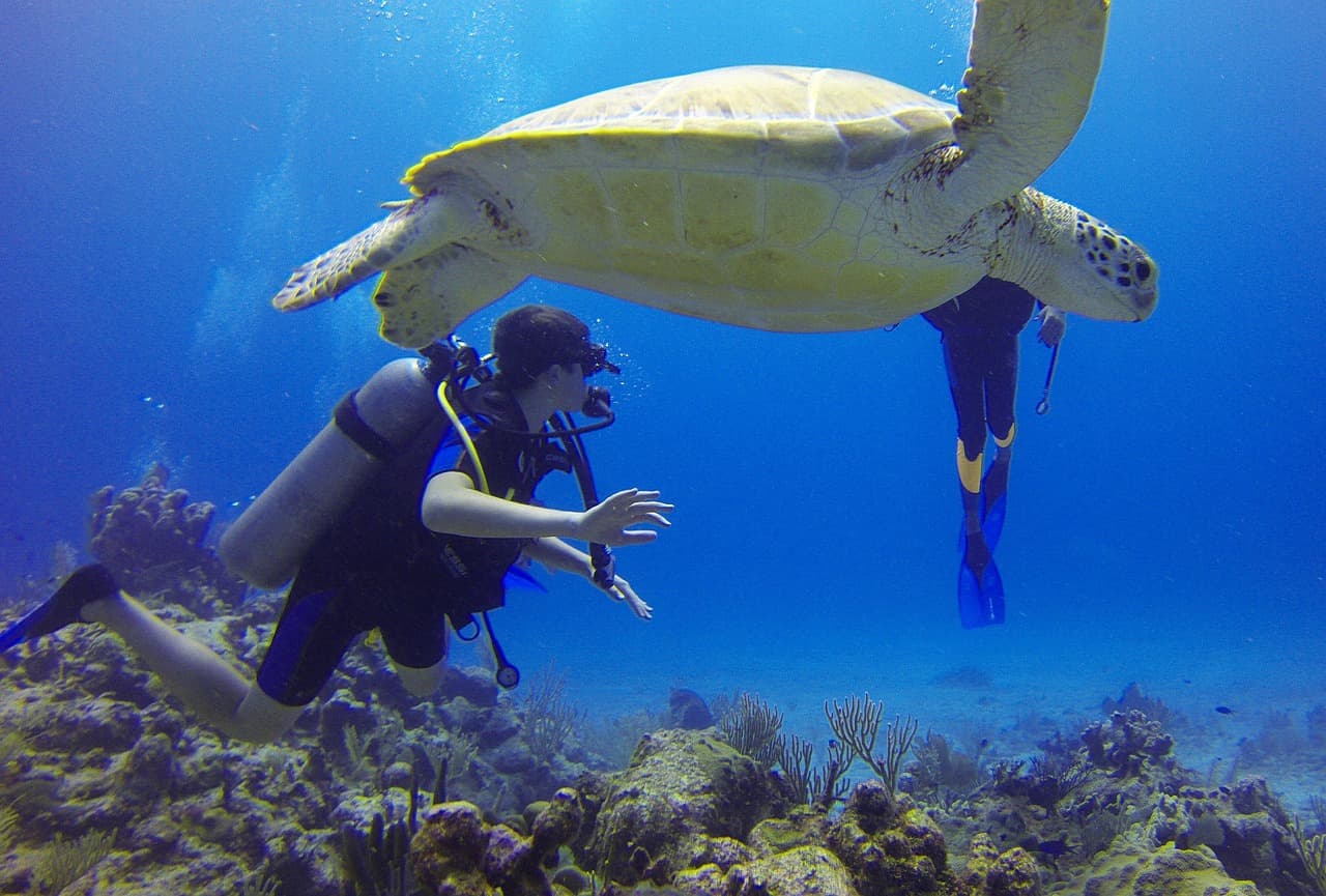 Mergulhador explorando o fundo do mar